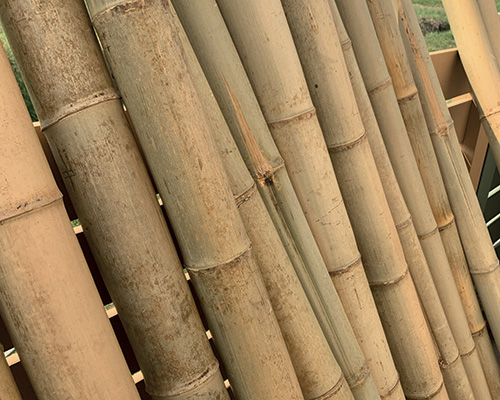 Zoom canne di bamboo - Art Wpc Bamboo