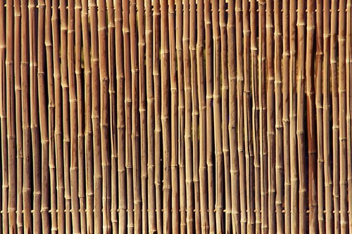 Parete di canne di bamboo - Art Wpc Bamboo