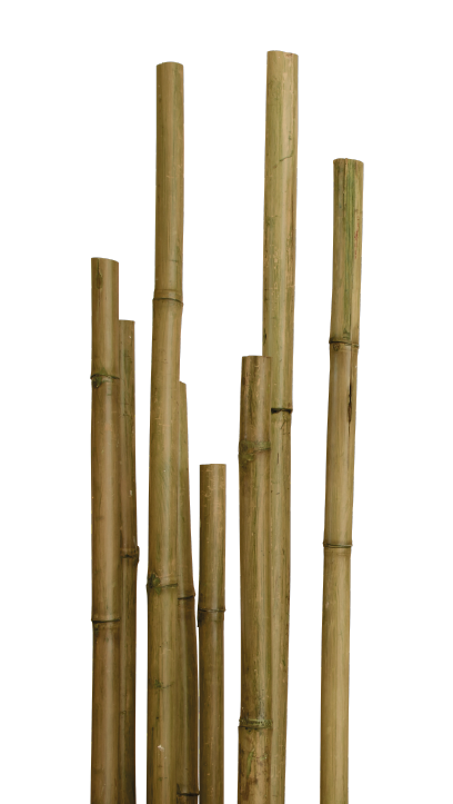 Canne di bamboo - Art Wpc Bamboo - Art Wpc Bamboo