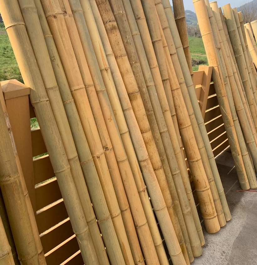 Canne di bamboo appoggiate su una recinzione - Art WPC Bamboo