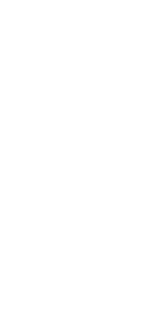 Immagine bamboo stilizzata