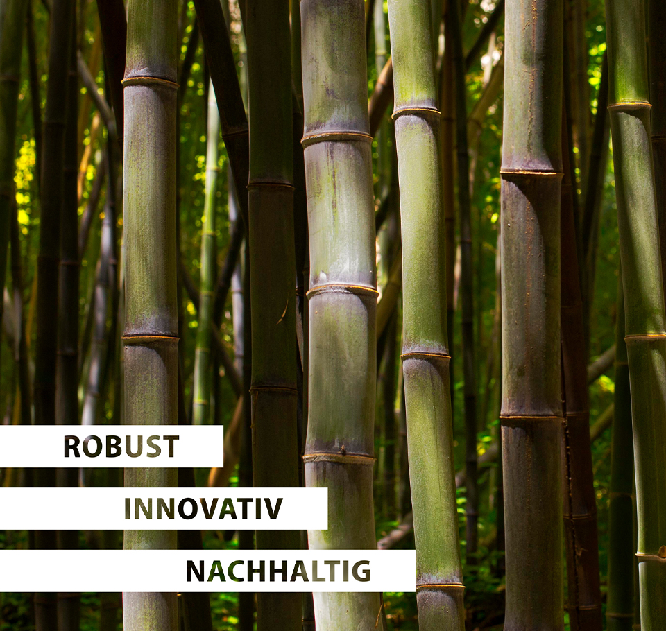 foto foresta bamboo